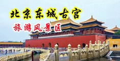男的鸡巴插在女的逼里的软件中国北京-东城古宫旅游风景区